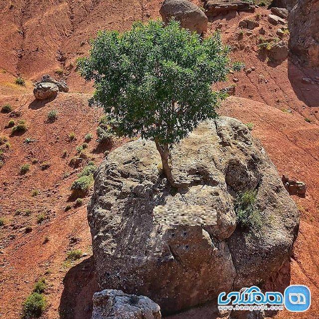 مروارید سبز و سنگ صبورش کجا هستند؟ مروارید سبز و سنگ صبورش کجا هستند؟
