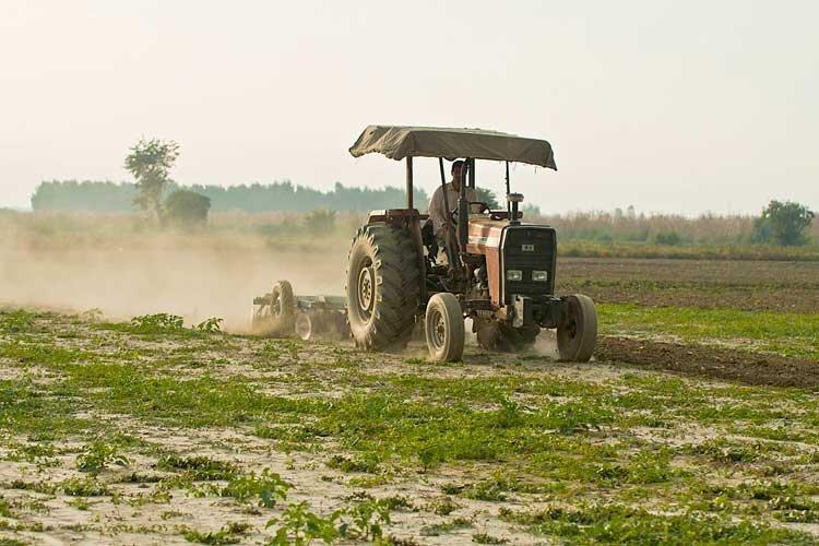 کاهش مصرف کود شیمیایی در مزارع البرز