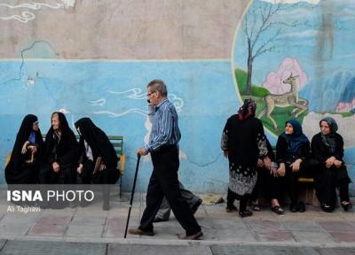 خط قرمز نیمی از سالمندان ایرانی روی ورزش!