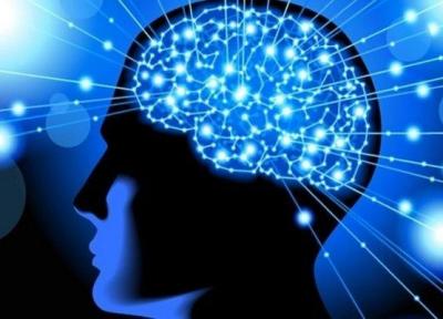 نشست علمی انسان، توانمندی های ذهنی و شناختی برگزار می گردد