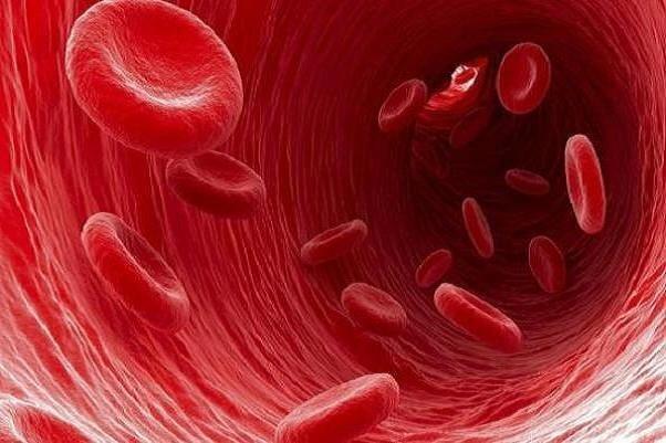 جزئیات بانک ذخیره سلول های بنیادی خون قاعدگی ، شیوه جدید درمان ناباروری