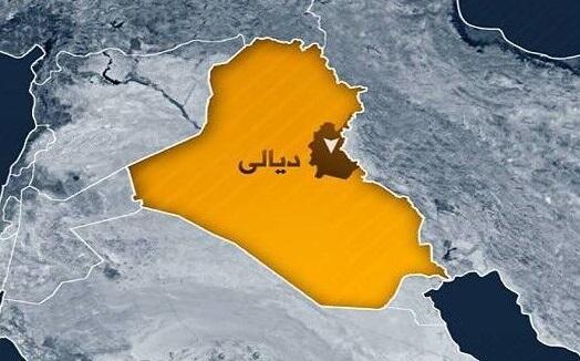 فیلم، درگیری حشدالشعبی با داعش در استانِ هم مرز با کرمانشاه فیلم، درگیری حشدالشعبی با داعش در استانِ هم مرز با کرمانشاه