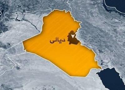 فیلم، درگیری حشدالشعبی با داعش در استانِ هم مرز با کرمانشاه