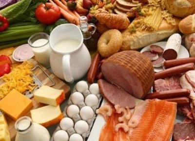 رونمایی از 4 دستاورد پژوهشی در زمینه صنایع غذایی