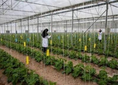 سال جاری 4000 شغل پایدار برای مددجویان کرمانشاه ایجاد کردیم