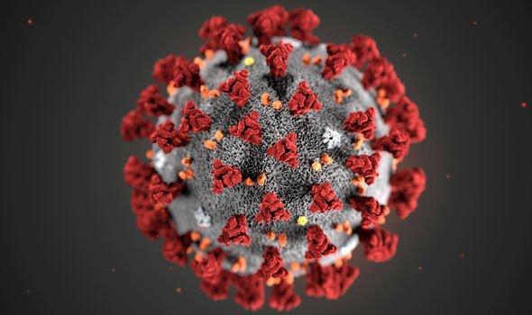 چگونگی نام گذاری ویروس ها، از ایدز تا کرونا