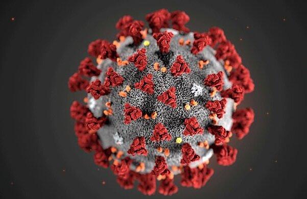 شناسایی 8 مورد جدید مبتلا به کرونا ویروس در چهارمحال وبختیاری