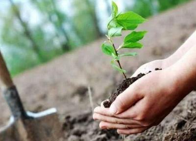 خبرنگاران پویش مجازی درختکاری در مدارس با احتیاج ویژه کردستان شروع شد