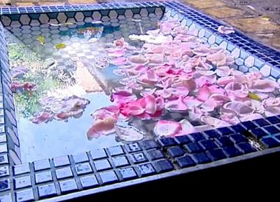 رسیدگی به افراد بی بضاعت در خانه مولوی