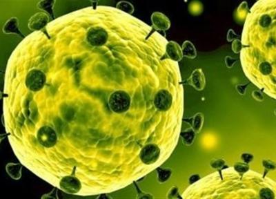 زنجیره انتقال ویروس کرونا را با ترددکاهش ها قطع کنیم