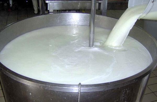 فراوری روزانه بیش از 35 تن شیر خام در تایباد
