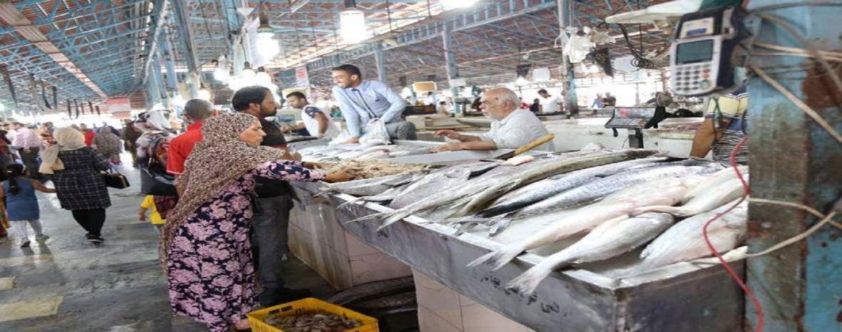 ارائه غرفه رایگان به دستفروشان ماهی و میگو در بندرعباس