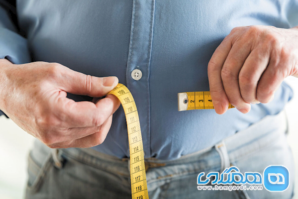 آب کردن چربی شکمی با حرکت کوهنوردی