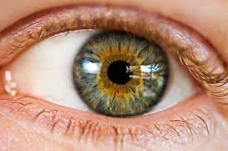 نقش سمن ها در ارتقاء سلامت بینایی مردم مناطق محروم نقش سمن ها در ارتقاء سلامت بینایی مردم مناطق محروم