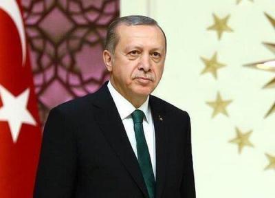 سیاست دولت اردوغان برای حفظ قدرت؛ تفرقه میان متحدان با سرکوب سیاستمداران کرد