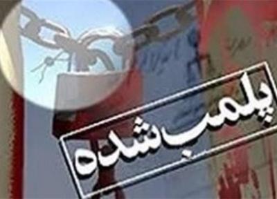 پلمب 5 واحد صنفی متخلف