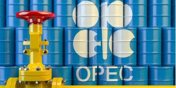 سبد نفتی اوپک در مرز 49 دلار