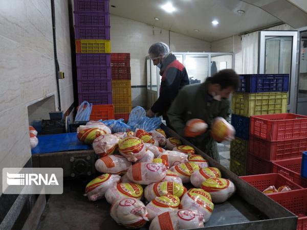 خبرنگاران سرپرست صمت مهریز: روزانه حدود پنج تن گوشت مرغ توزیع می گردد