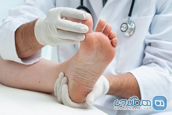 شست پا تقریبا نصف وزن بدن را تحمل می نماید
