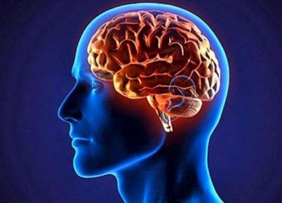سه ماده غذایی خطرناک برای مغز انسان