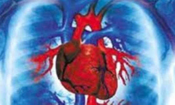 دانش آموزان و روماتیسم قلبی دانش آموزان و روماتیسم قلبی