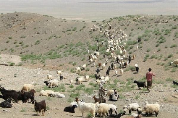 انجام پیگیری برای کوچ زودهنگام عشایر خراسان شمالی به مناطق انجام پیگیری برای کوچ زودهنگام عشایر خراسان شمالی به منطقه ها قشلاقی
