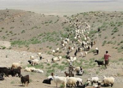 انجام پیگیری برای کوچ زودهنگام عشایر خراسان شمالی به منطقه ها قشلاقی