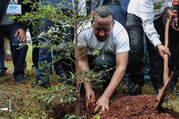 اتیوپی با کاشت بیش از 350 میلیون درخت در یک روز، رکورد زد