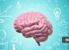 با 6 حقیقت جالب درباره مغز آشنا شوید