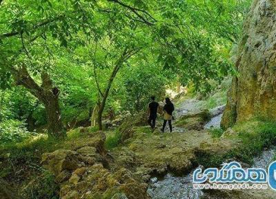 روستای دشتک یکی از روستاهای زیبای استان فارس به شمار می رود