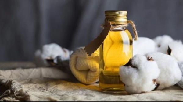 روغن پنبه دانه و خواص آن برای سلامتی روغن پنبه دانه و خواص آن برای سلامتی